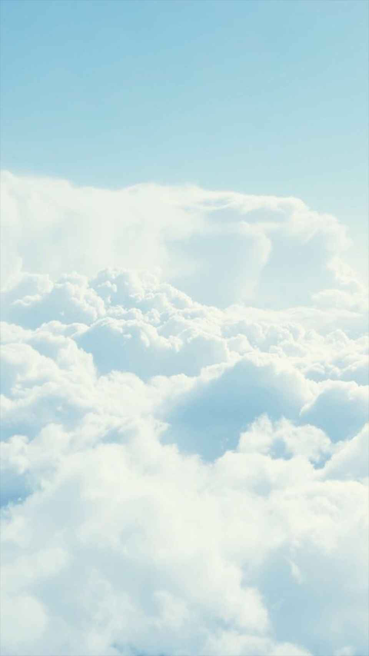 IMG_9554.png
