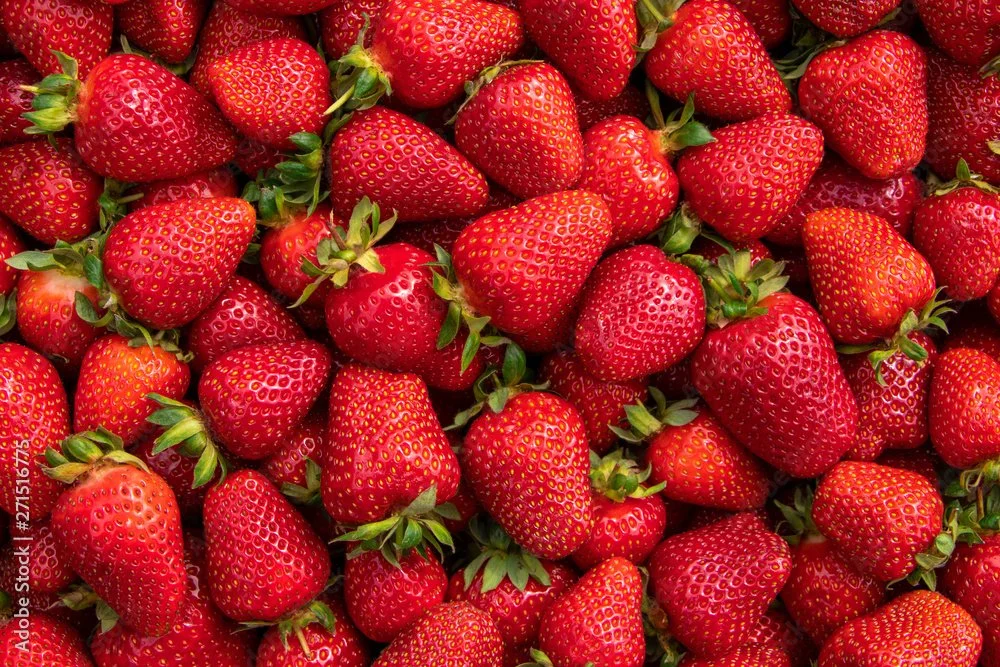 Hyde park Farmers Market