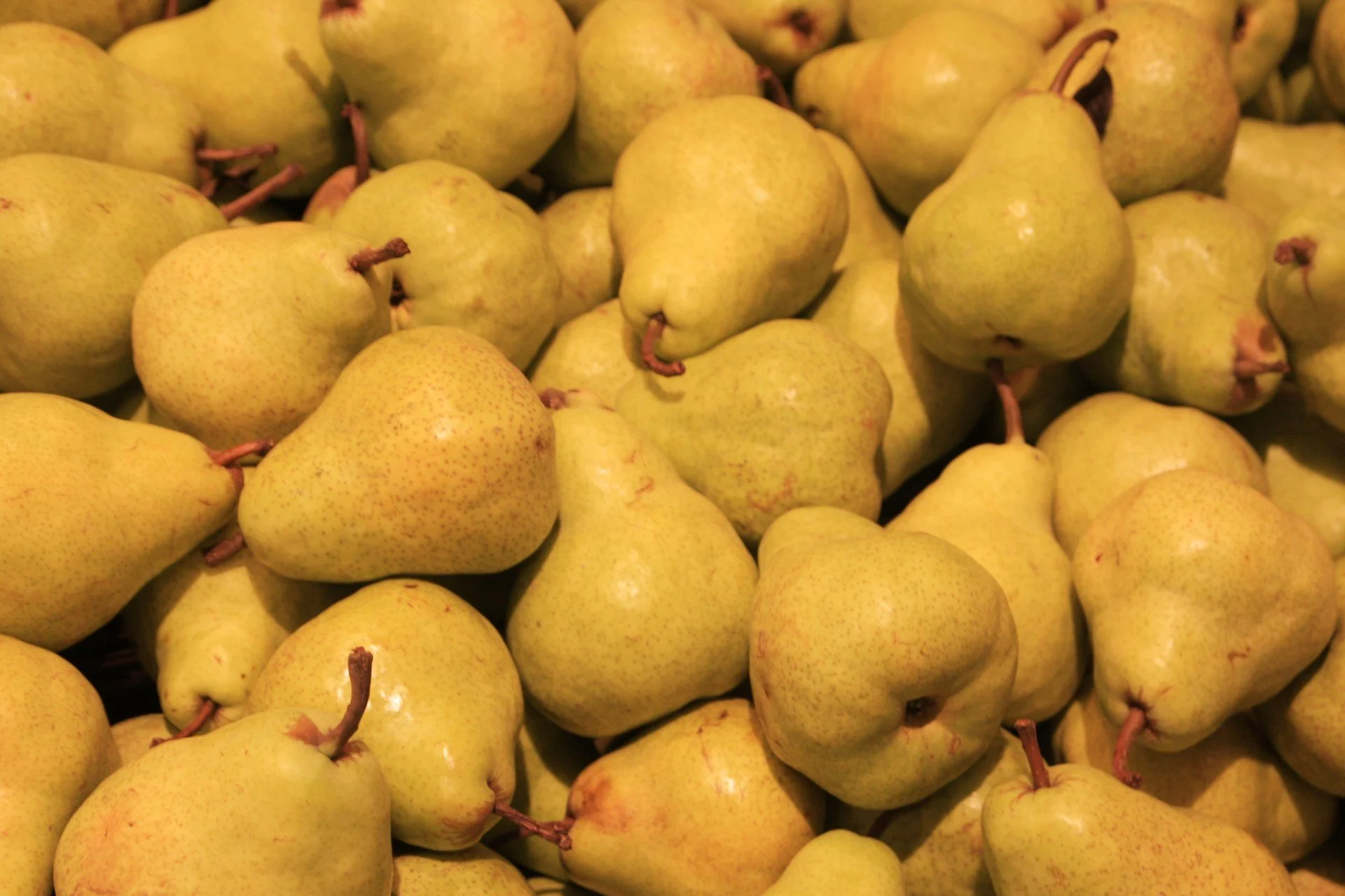 Hyde park Farmers MarkeT