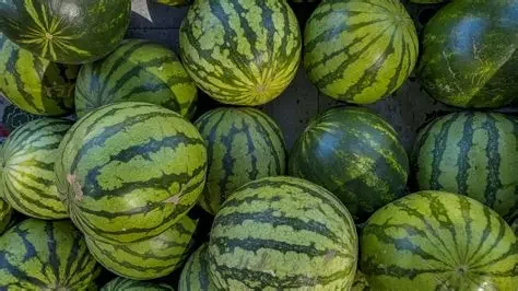 Hyde park Farmers Market