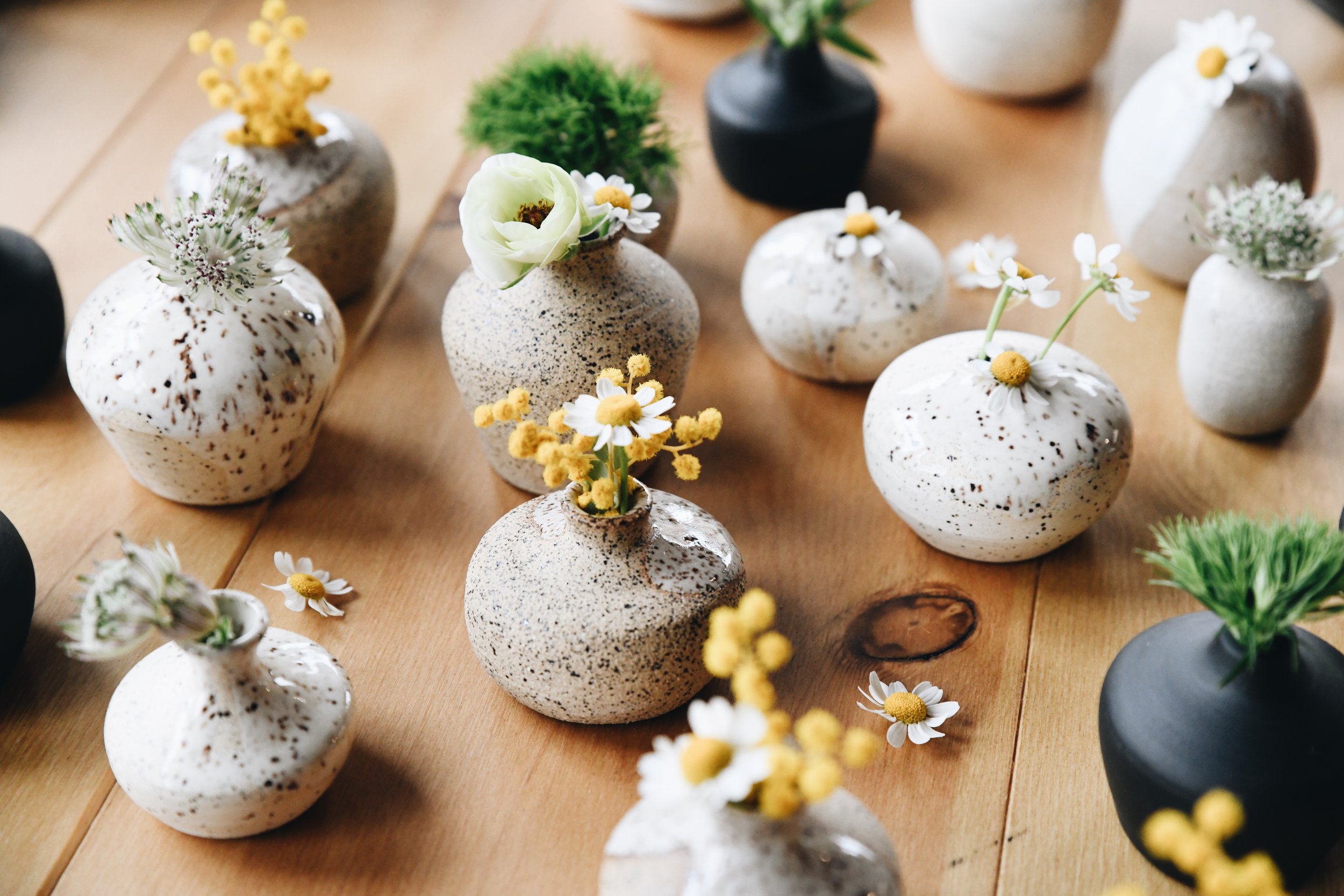 Photo Mar 22 2024, 11 01 13 AM.jpg