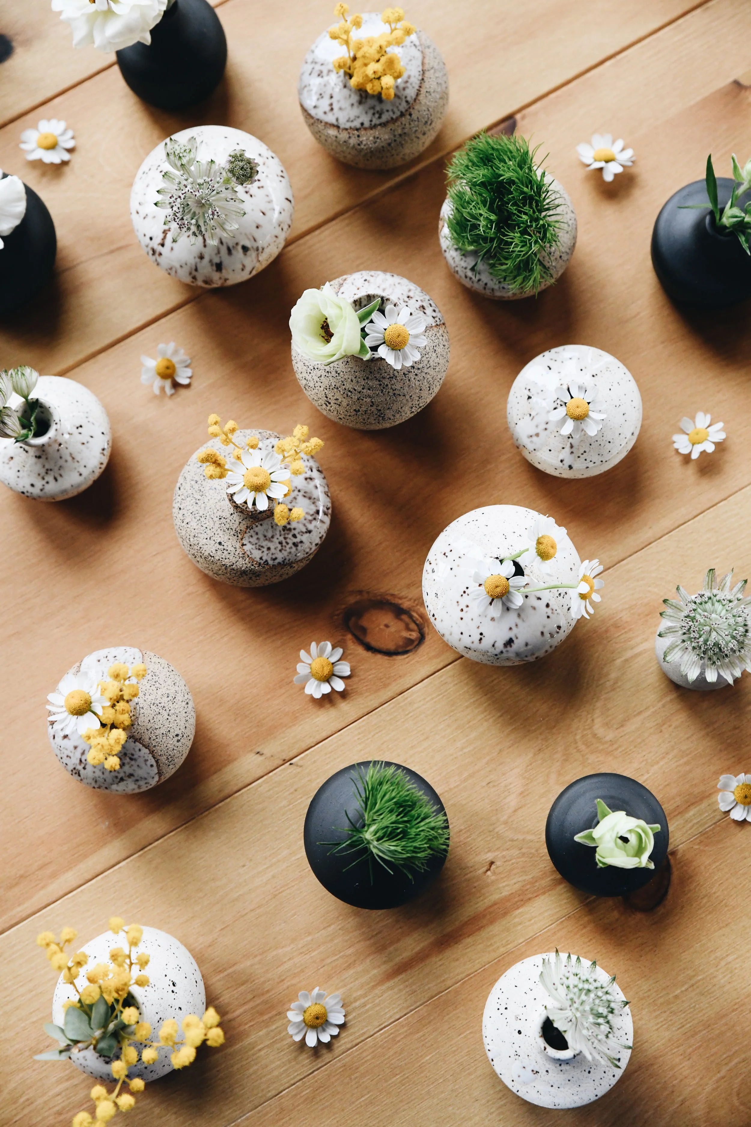 Photo Mar 22 2024, 11 01 03 AM 2.jpg