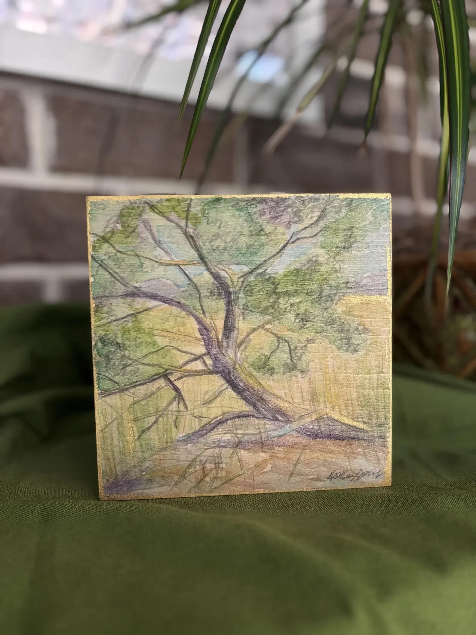 leaning cedar3.webp