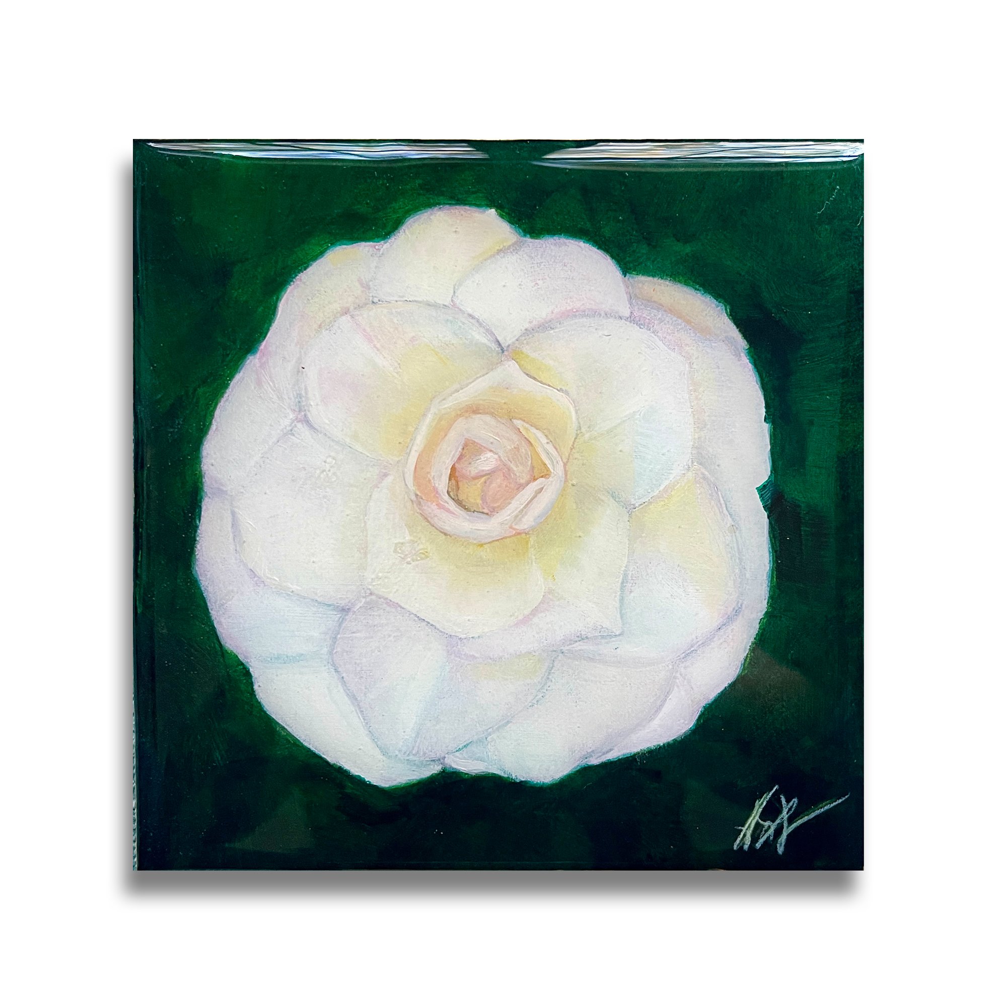 Camellia 3 T.jpg