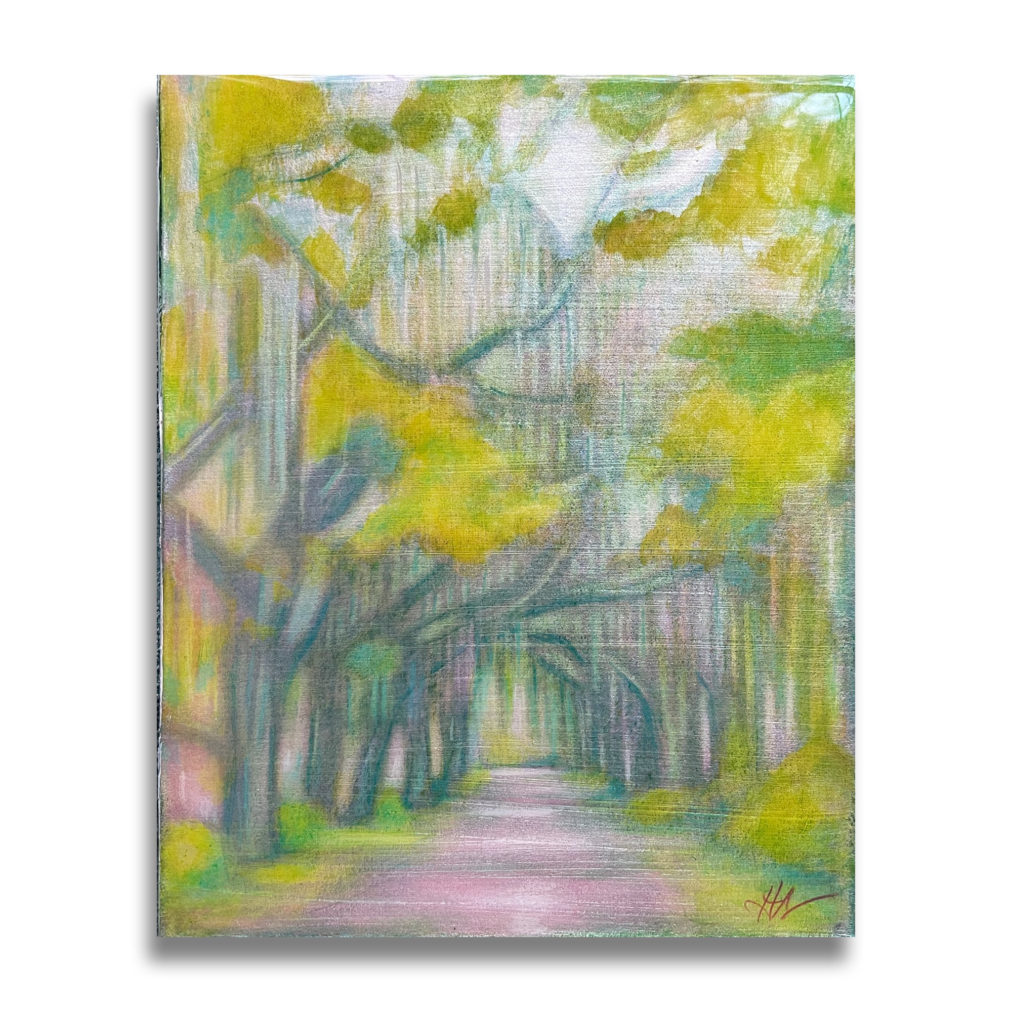 Last walk Bonaventure.jpg