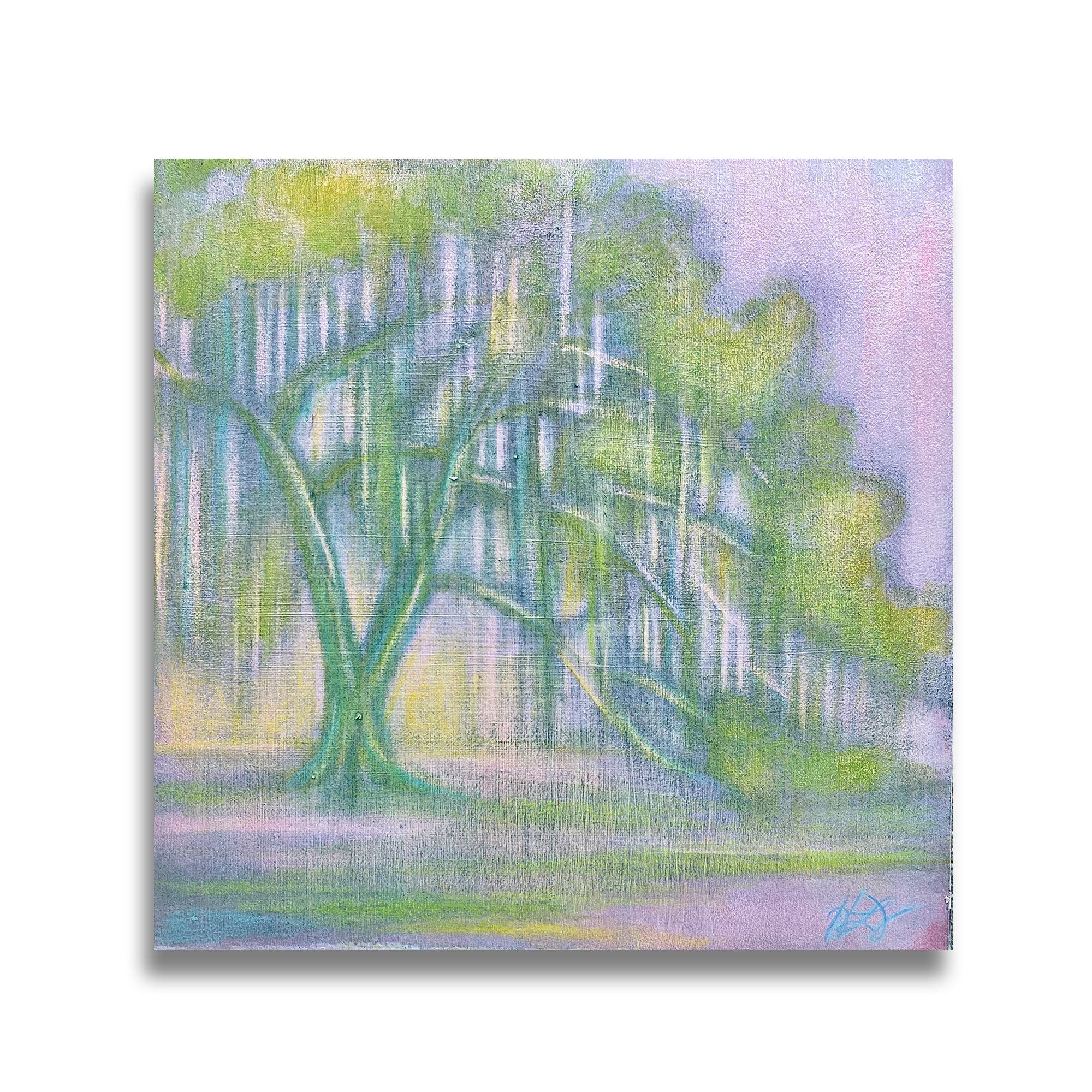 Hidden Oak.jpg