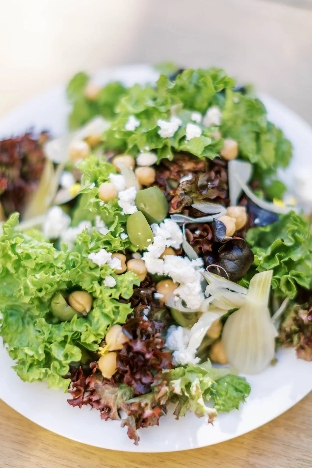 Winter flavors, plated fresh. Our seasonal menus bring hearty greens, fennel, and bright flavors to the table&mdash;perfect for corporate gatherings that deserve something beyond the ordinary.

Book your holiday catering before our calendar closes!

