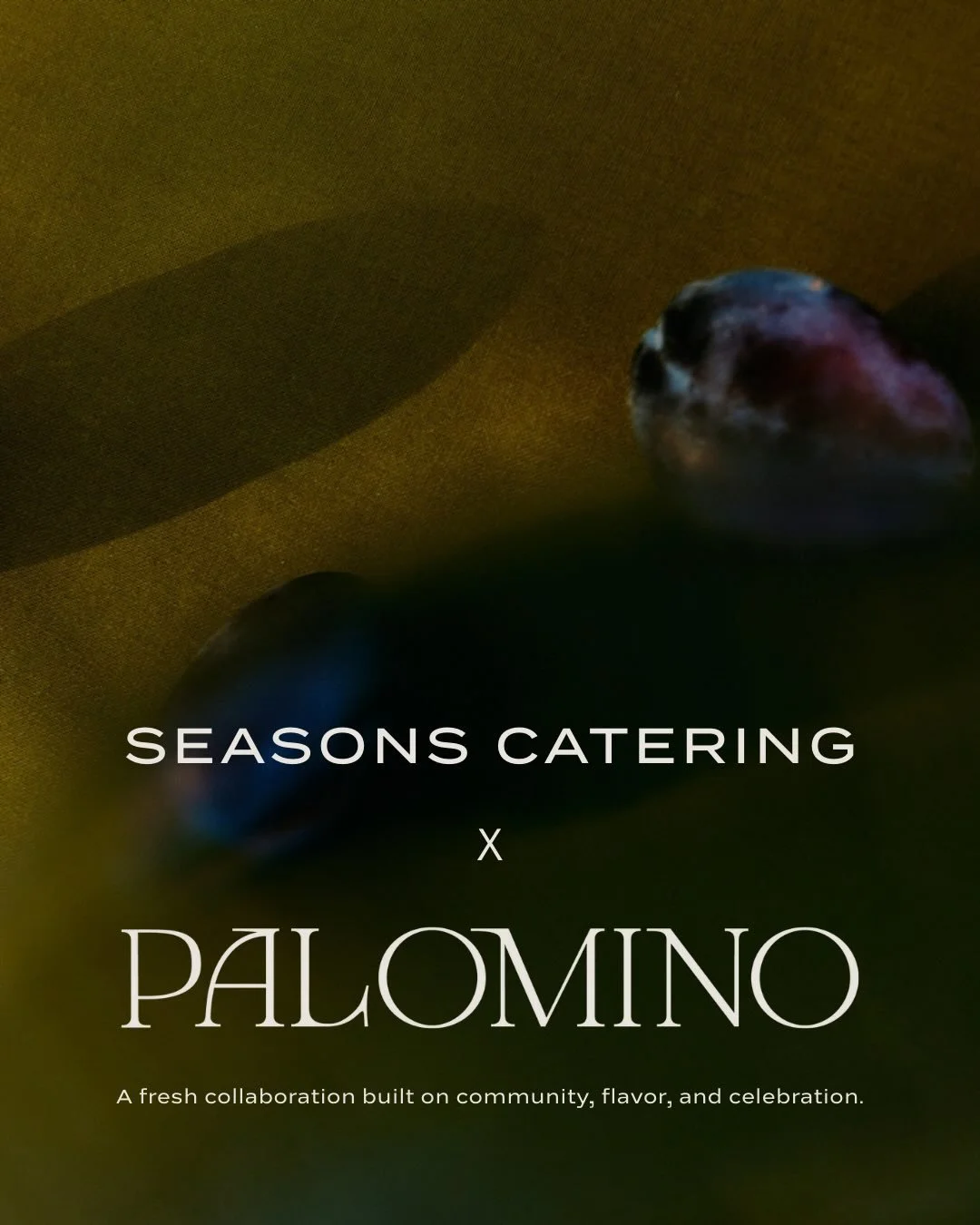 We&rsquo;re excited to share that Seasons Catering is now the exclusive caterer at @palomino_ventura &mdash; Ventura&rsquo;s newest gathering place &mdash; and they&rsquo;re now taking bookings for 2026 events.

Palomino brings a fresh, modern space 