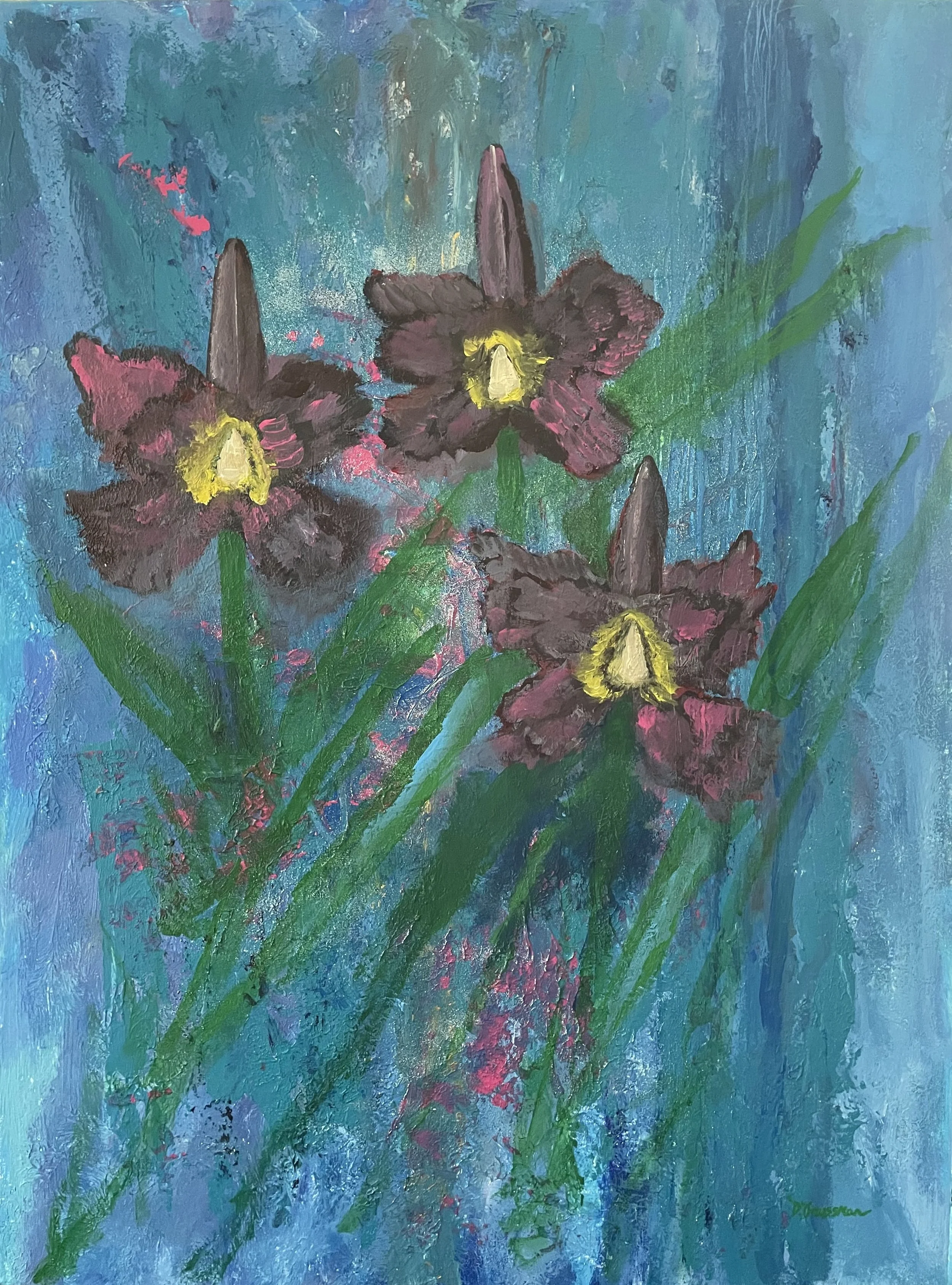 Rainforest Jewels Thumbnail.jpeg