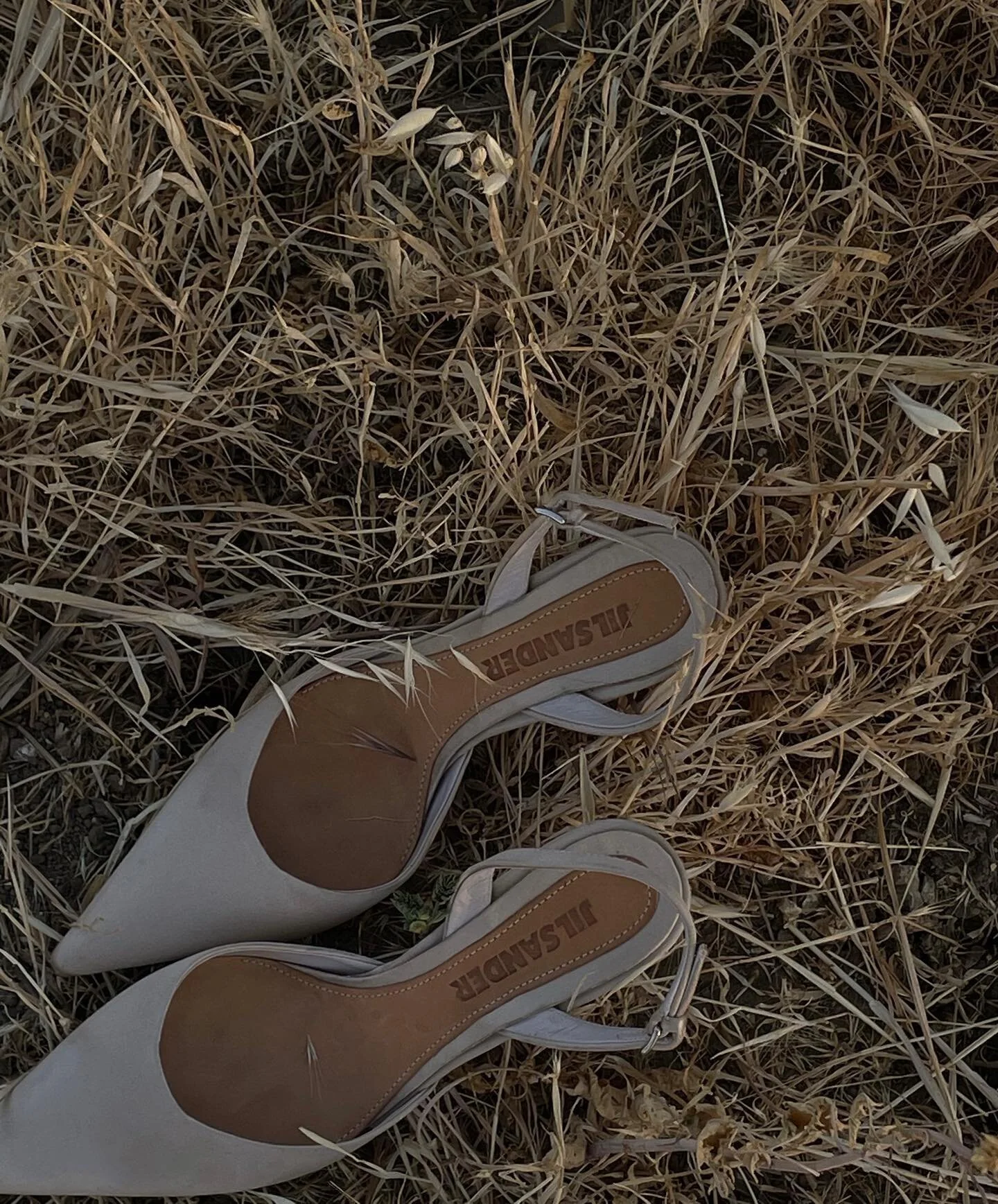 @jilsander in the wild 🌾