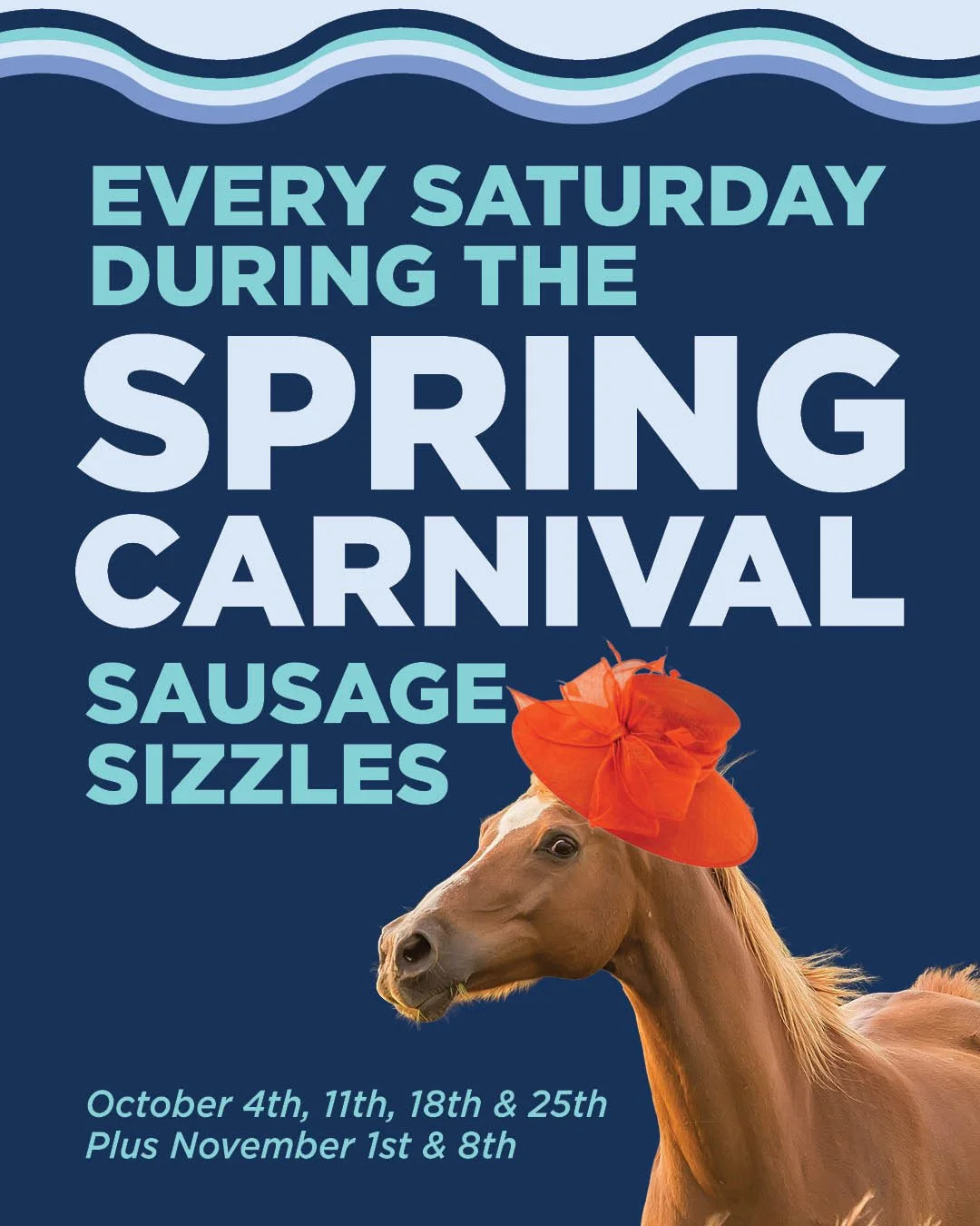 Coming in to watch the races this Spring Carnival?

Let us treat you to a sausage sizzle 🌭