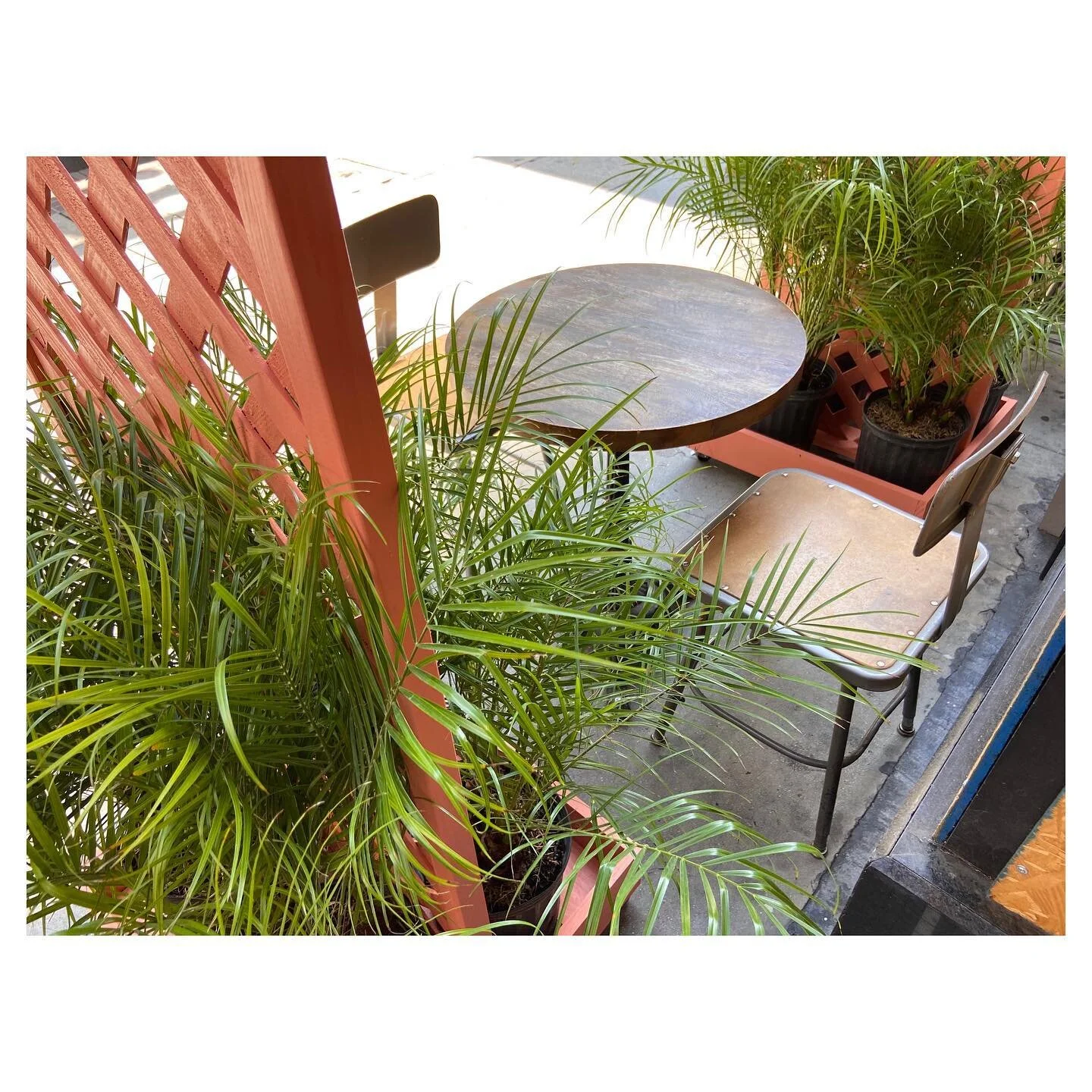 Outdoor garden for your safety!
🌴🌴🌴🌴🌴
.
.
.
#grilledcheese #icedcoffee #organicsalad #pastries #artisanbread #localbusiness #dtla #downtownlosangeles #mmemrla