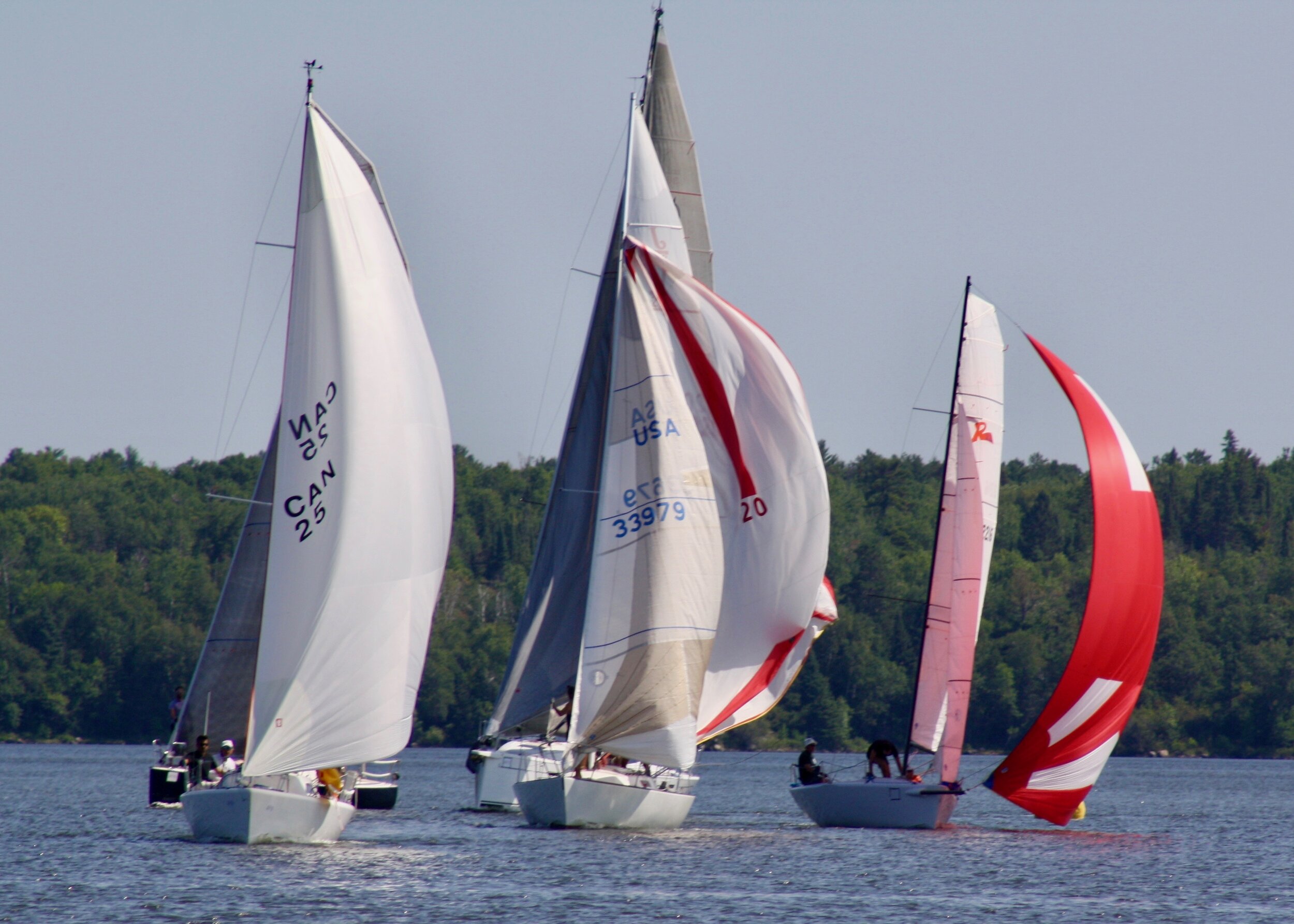 IMG_3725.jpg