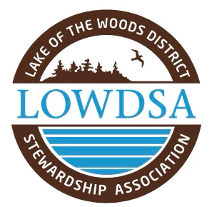 LOWDSA Donation