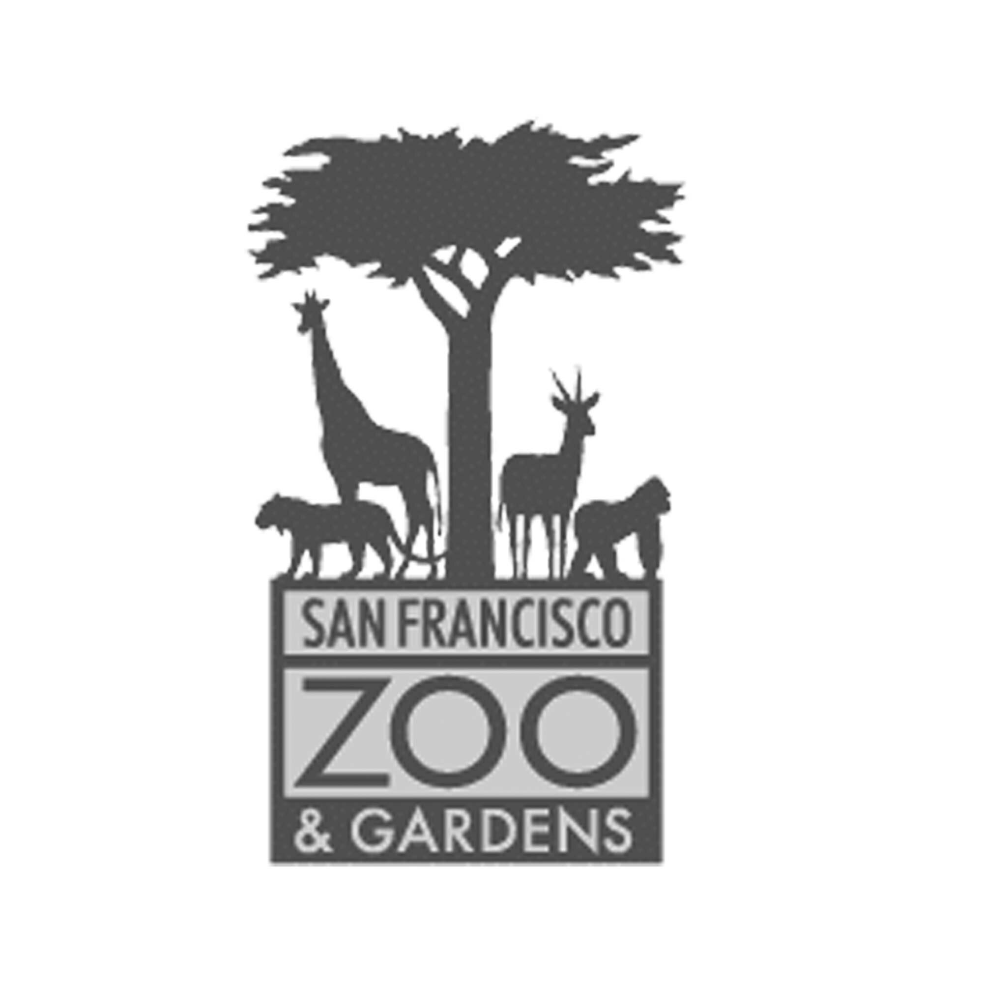 sf-zoo.jpg