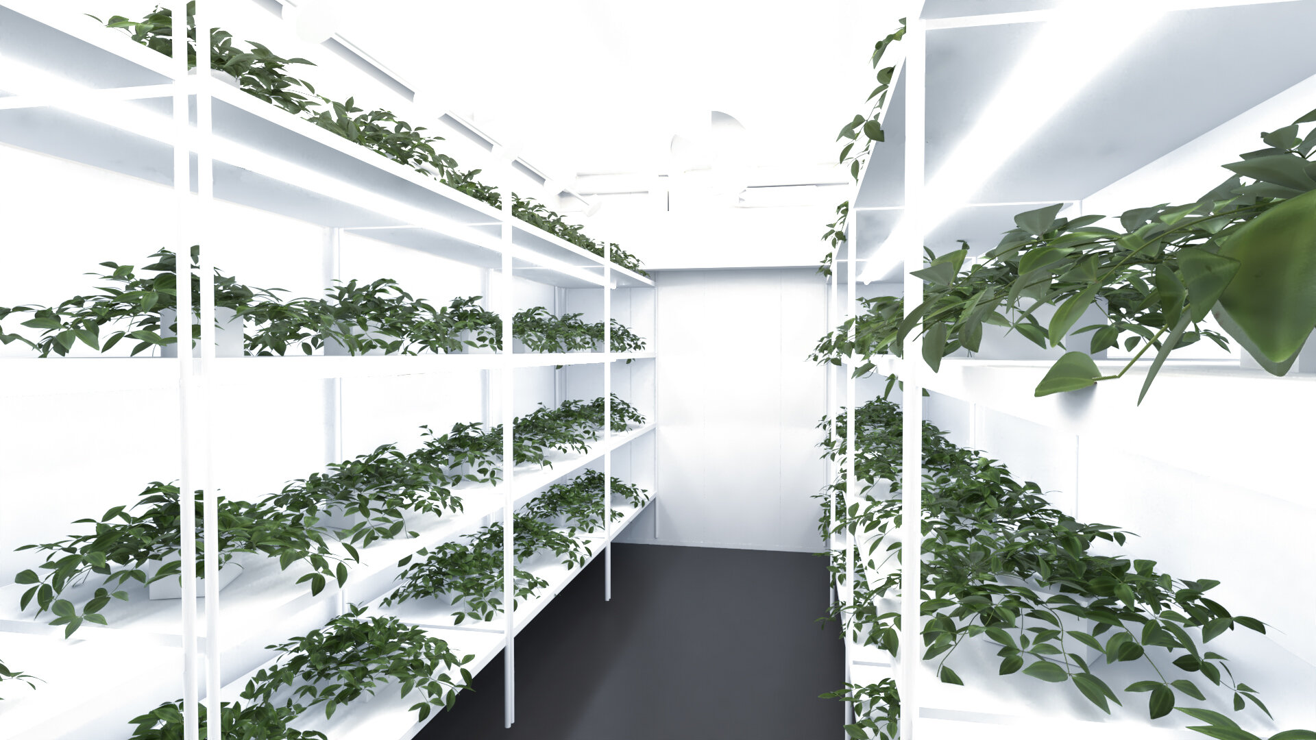 Grow Container View 1 Edit (1).jpg