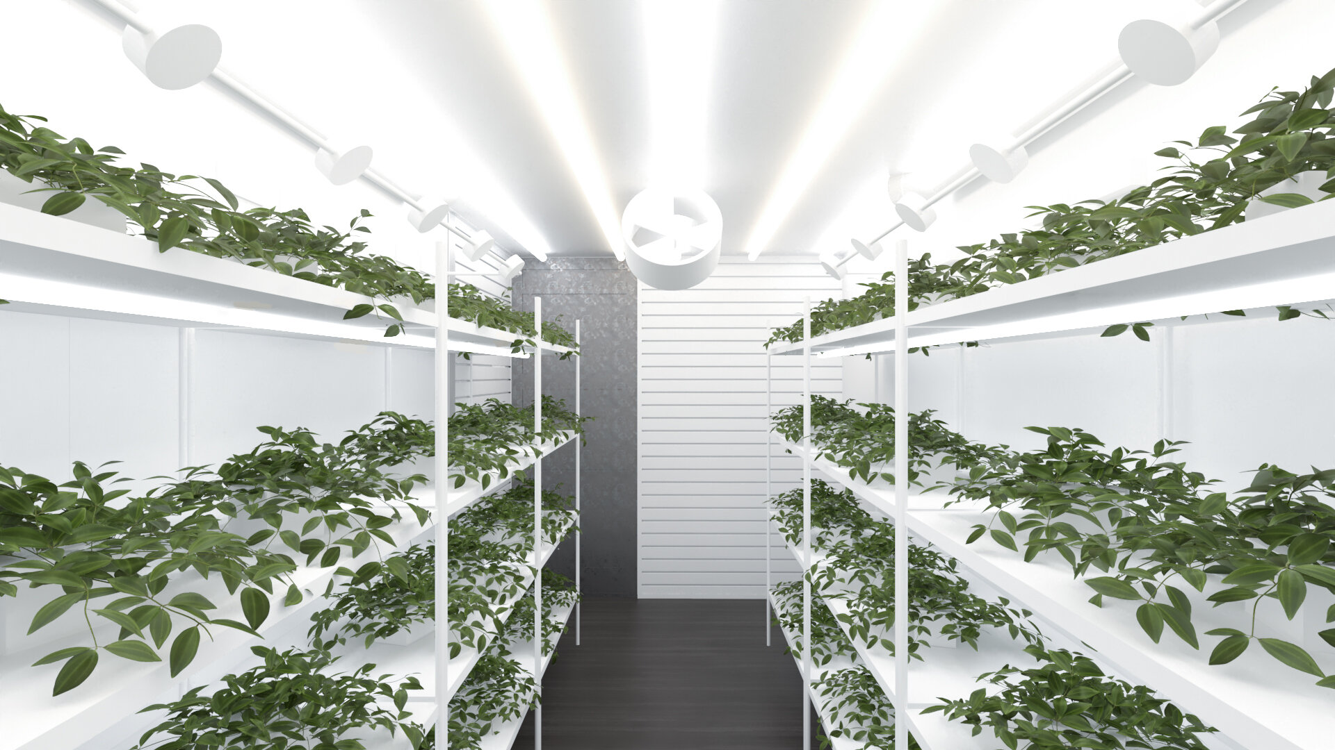 Grow Container View 2 Edit (1).jpg