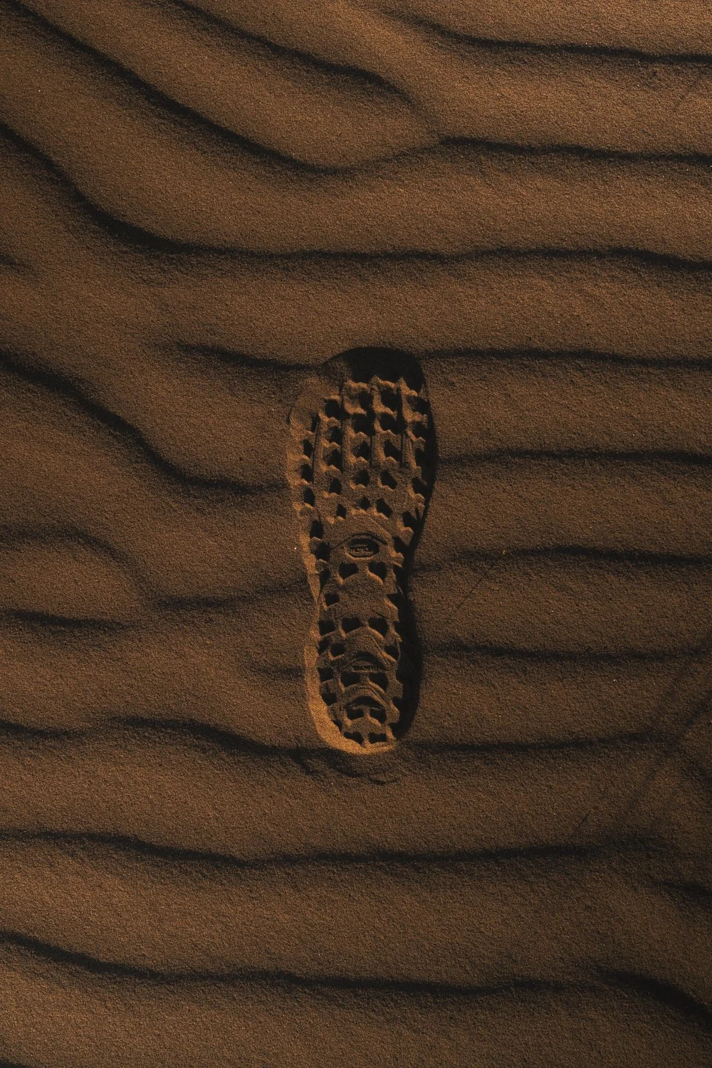 JLJ260305ALTRA-03233.jpg