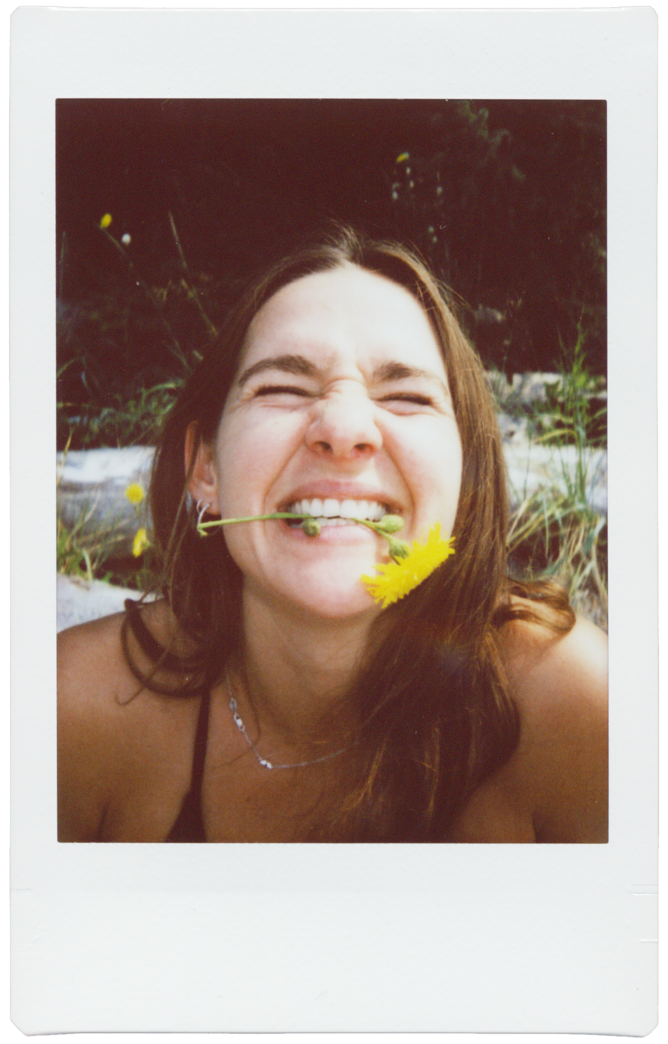 Maddie Scans Individ24.png