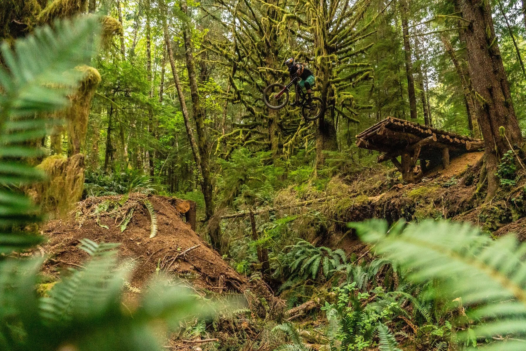 HANNAH BLANCE-1.JPEG