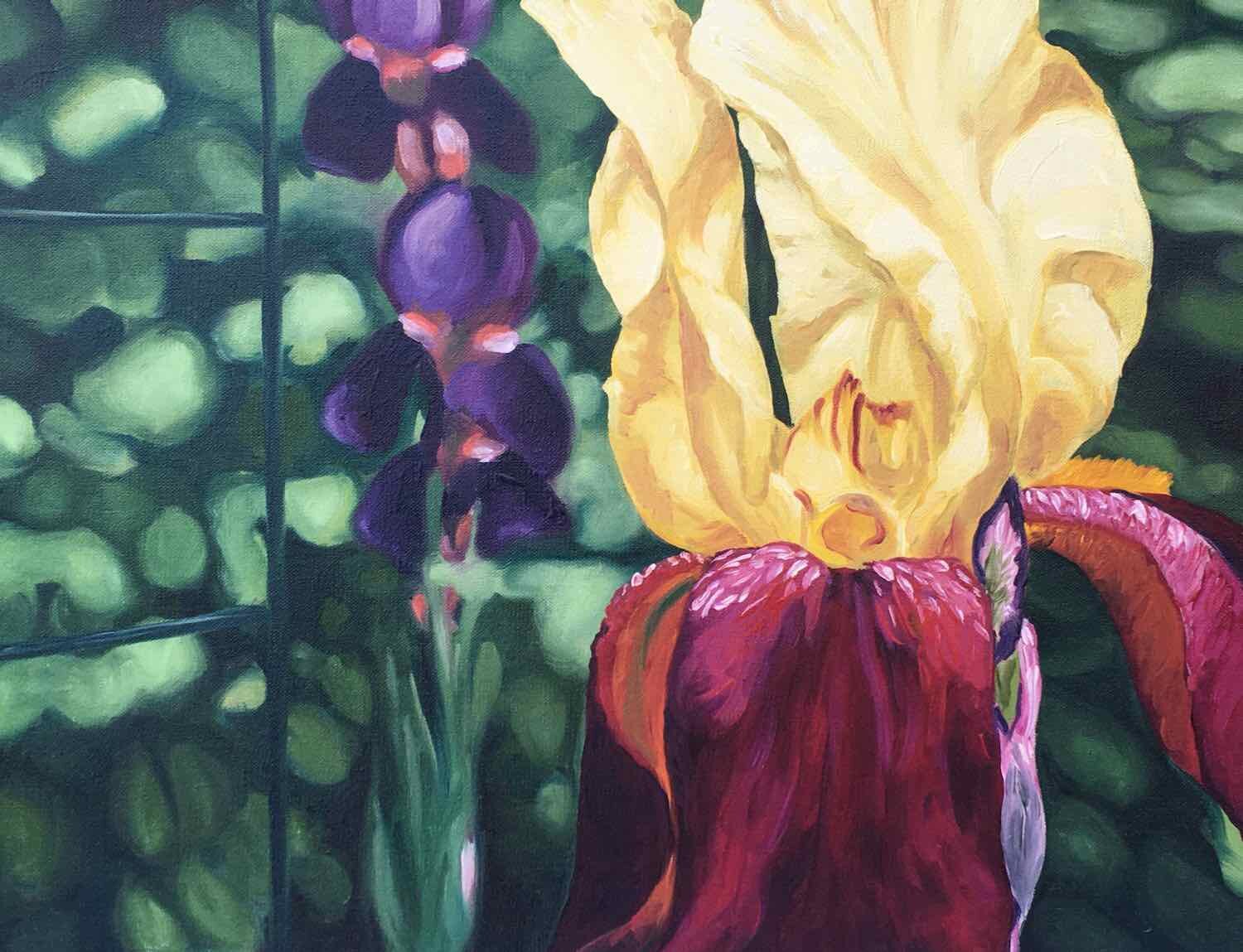 Show Off  oil on canvas 16x20 SOLD