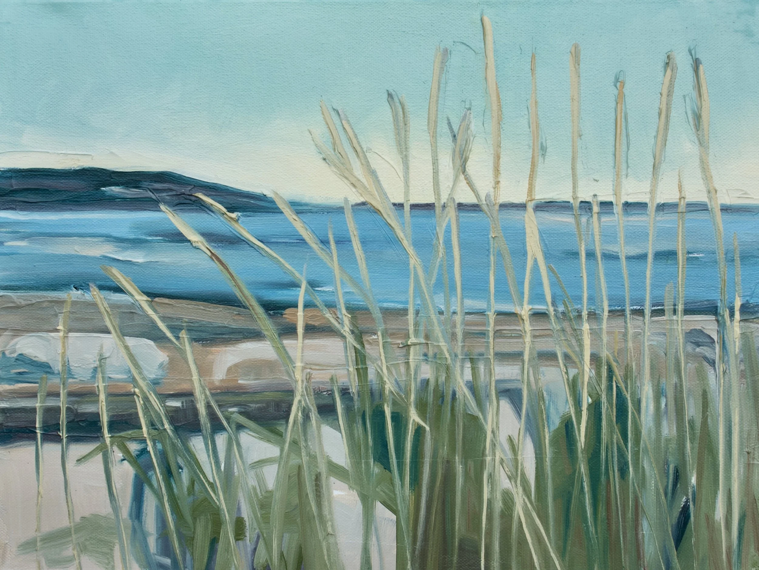 Seaviews I, 12x18 oil on canvas SOLD