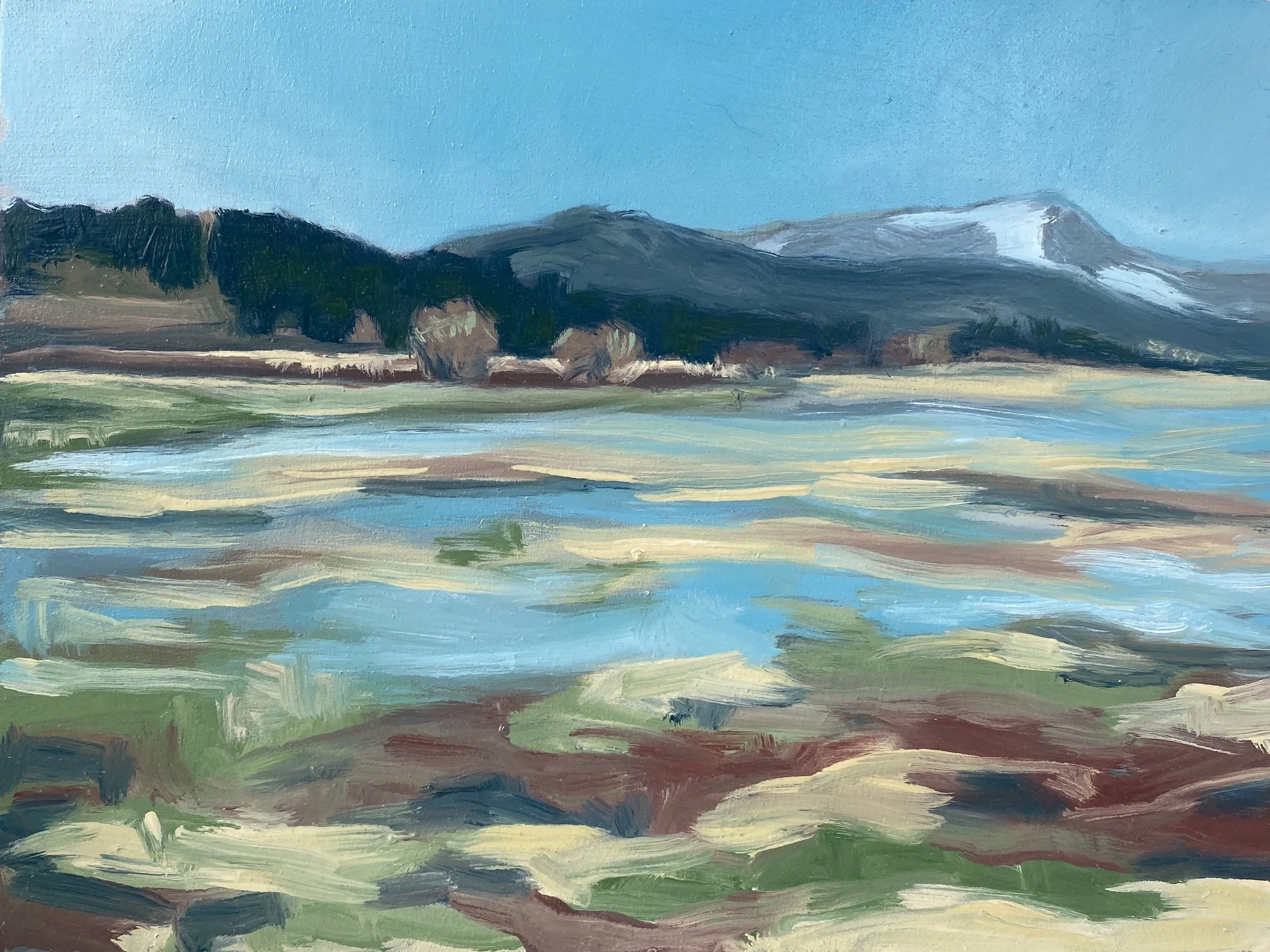 Emerging Spring III 6 x 8 inches oil on board $175