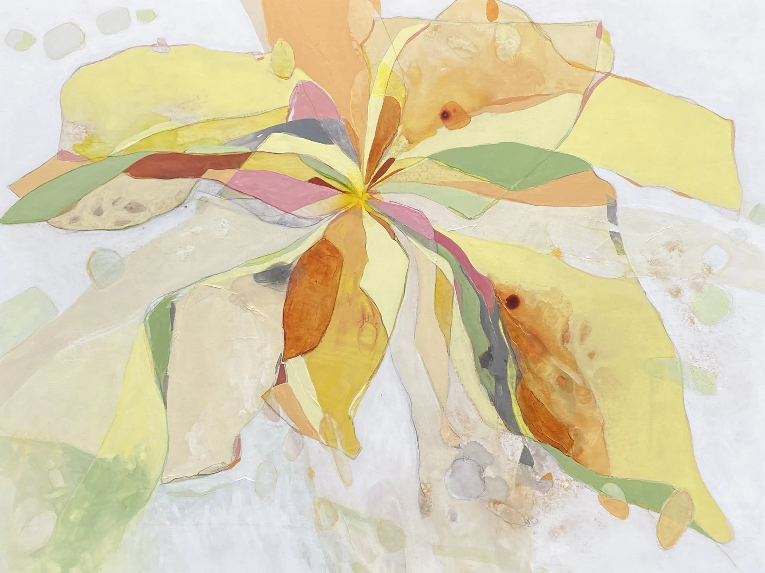 Flight Paths III, 36x48 mixed media on board   SOLD