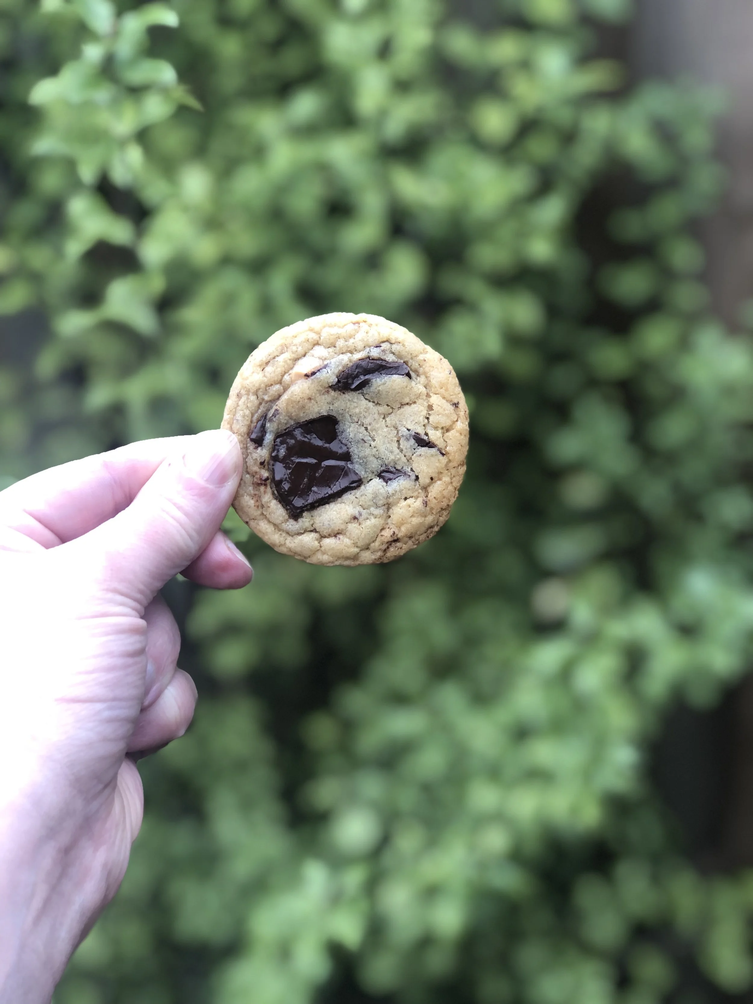 Box of 12 Mini Cookies (Chocolate Chip) Friday Delivery 8am-10:30am