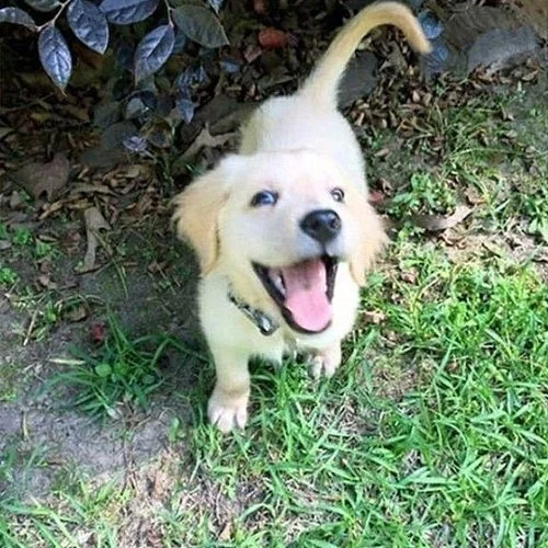 Checkpoint: Blood-work after three months of treatment