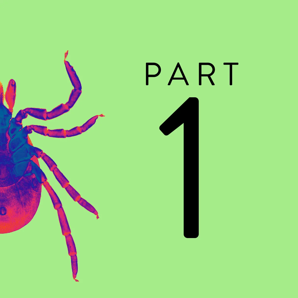 Ten Tips to Understanding the Struggles of a “Lymie”, Part One