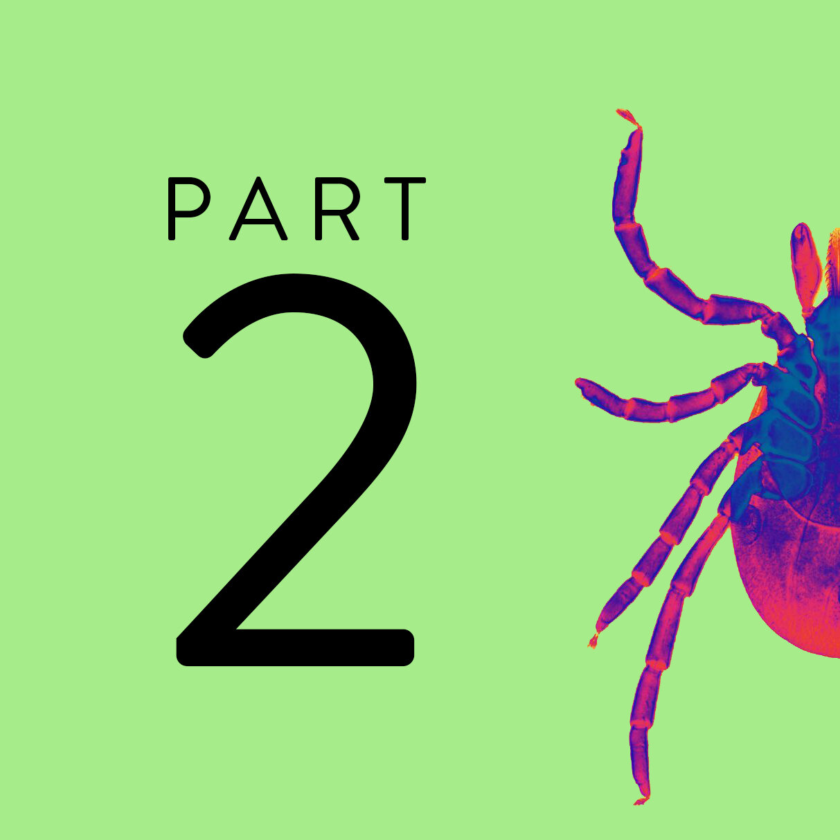 Ten Tips to Understanding the Struggles of a “Lymie”, Part Two