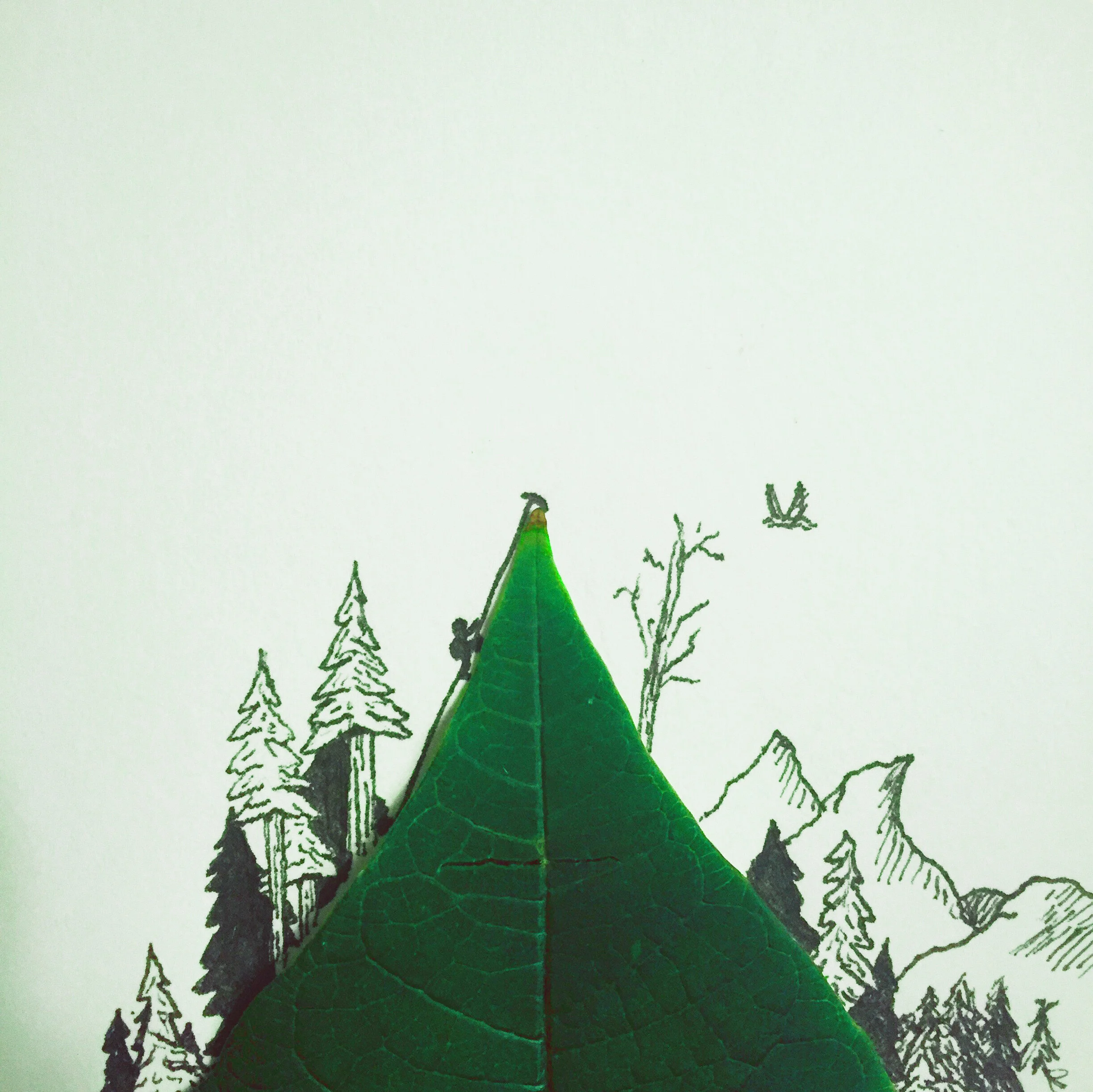 Ok. Let’s bring you up to speed.