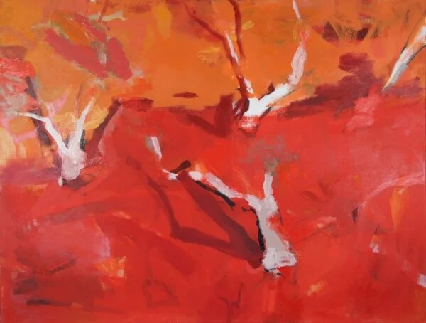 Mt Sheila walk (2015)