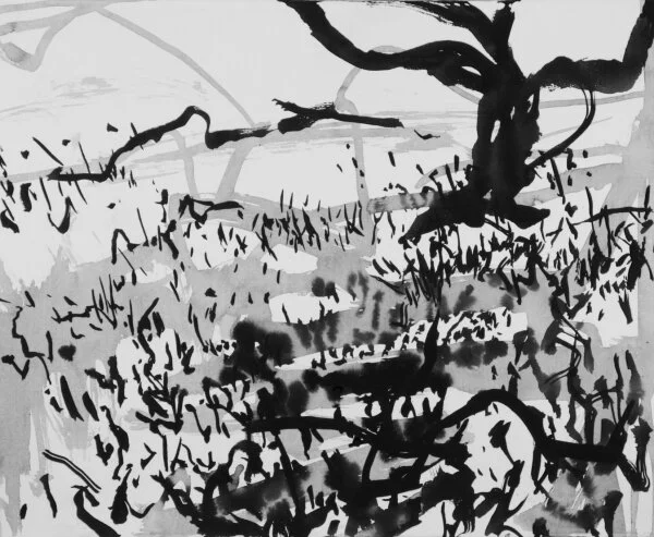 Mangrove study i (2016)