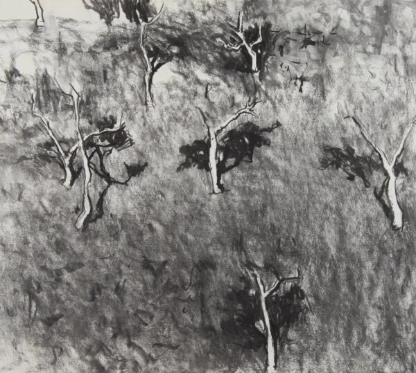 Shadow of Robe River (2014)