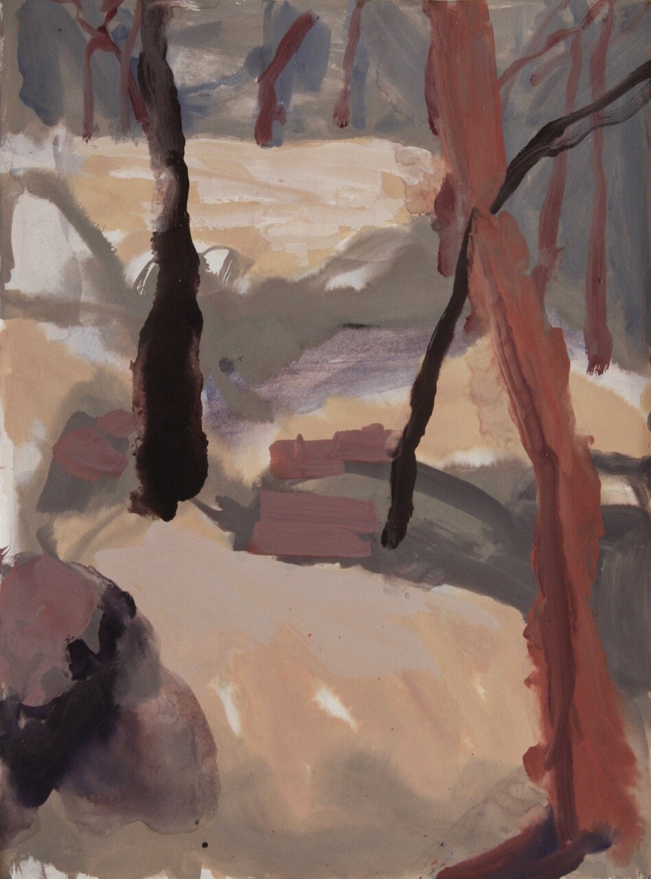 Casuarina Grove (2019)