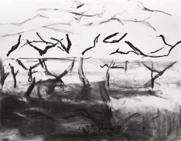 Mangrove marks (2016)