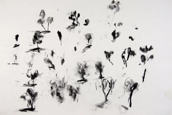 Munjina marks ii (2014)