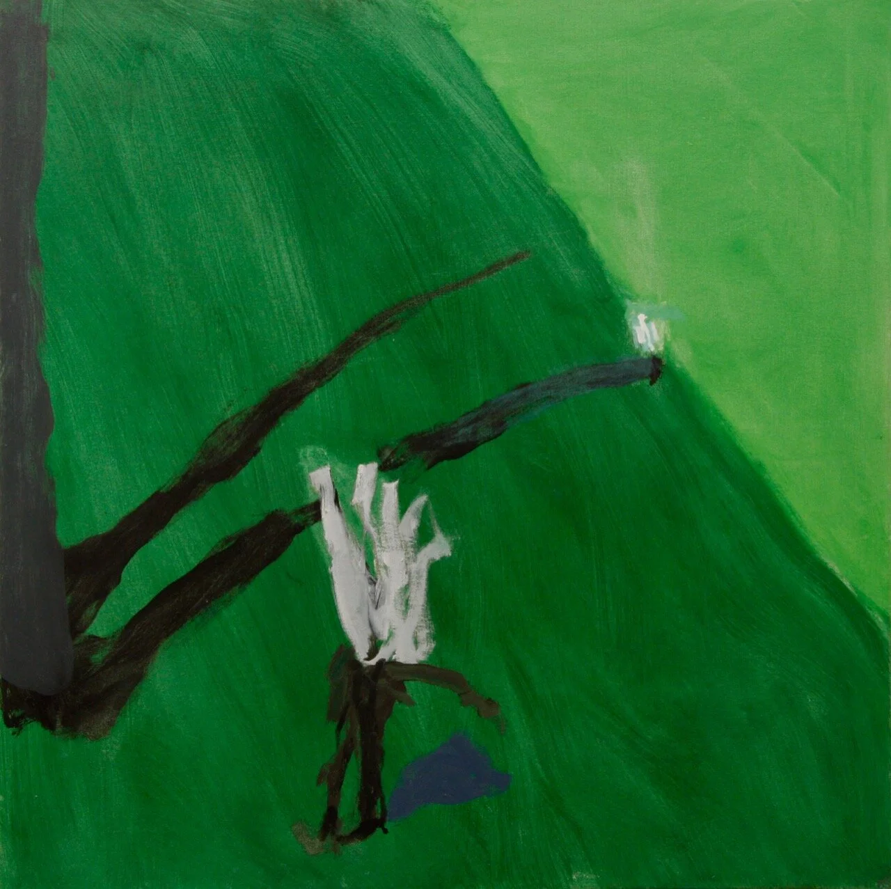 Cycad Walk (2019) oil on canvas 92X92cm