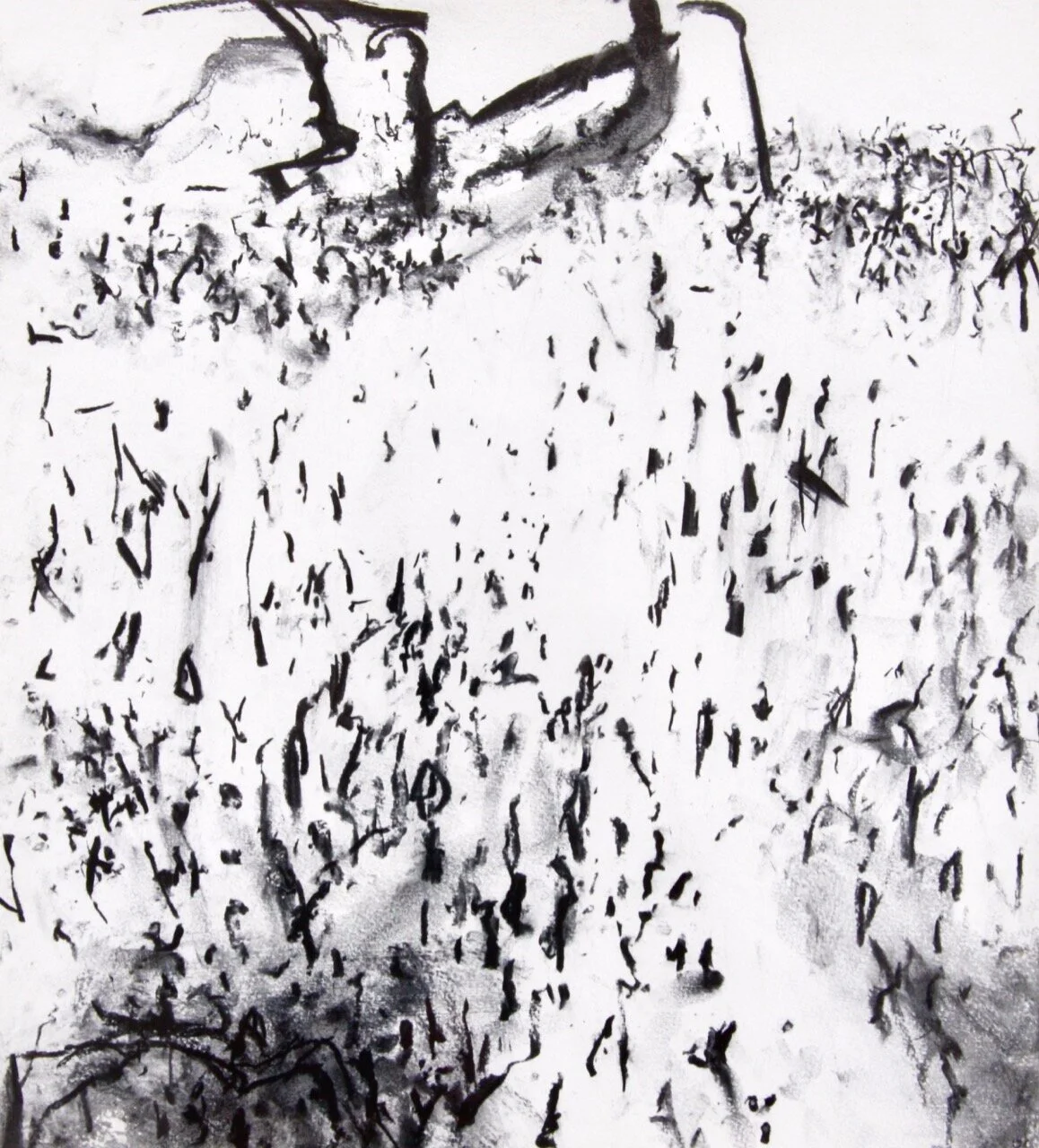 Mangrove Markings (2018) charcoal on paper