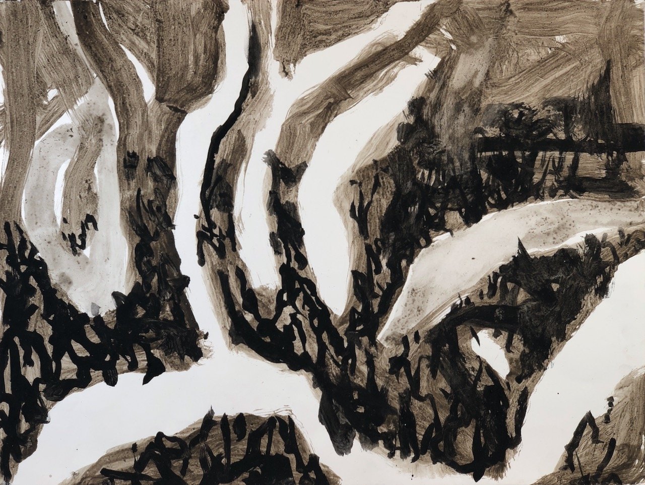 Mangrove 6 (2026) earth pigment, binder & gouache on paper 57X76cm