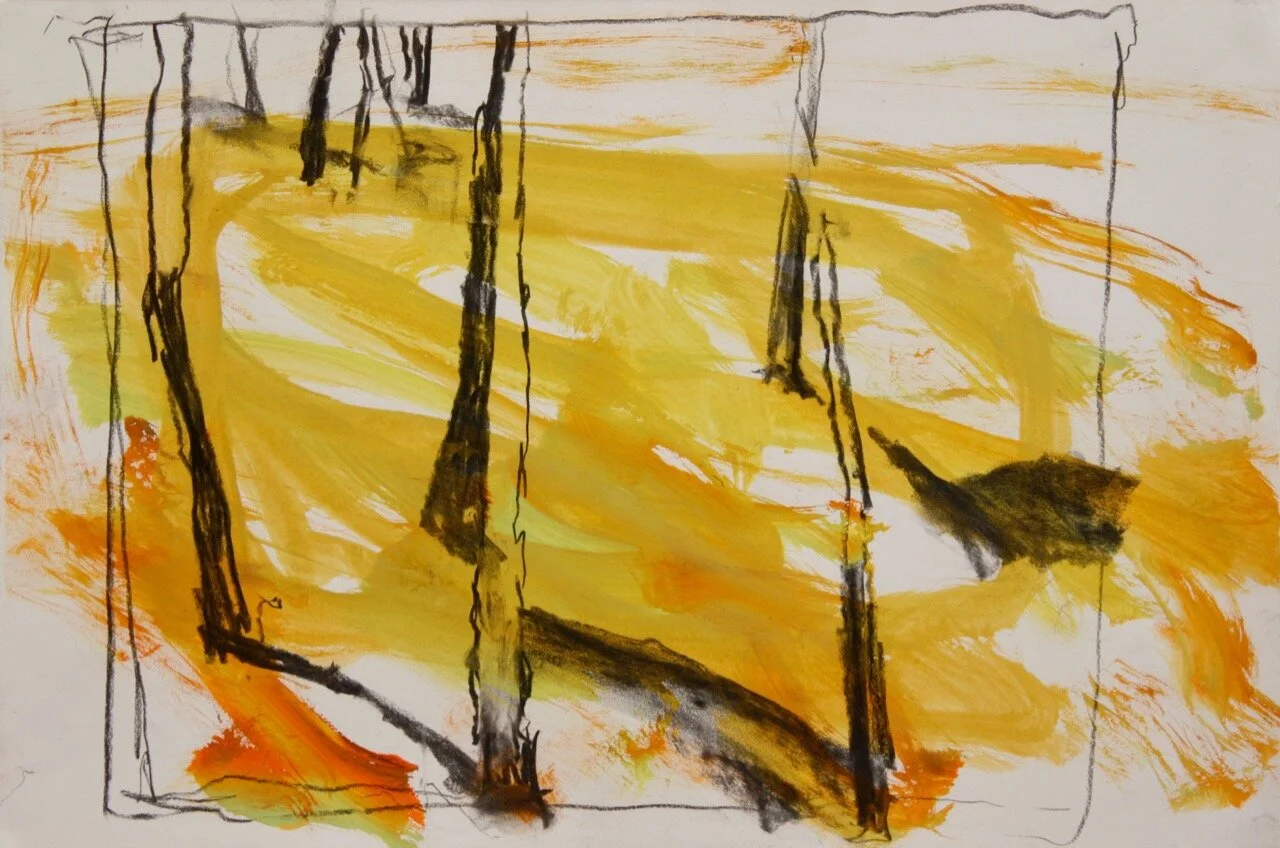 Study for Casuarina Light 1 (2019) gouache and charcoal on paper 39X58cm