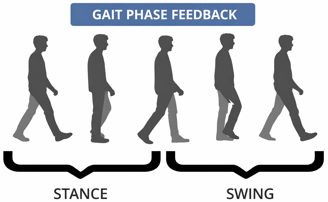 Gait Phase Feedback (sensing/feedback)