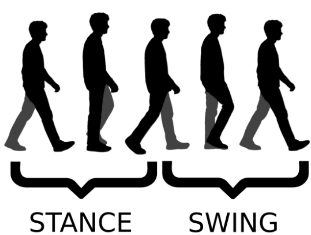 Stance-to-Stride Ratio (sensing)