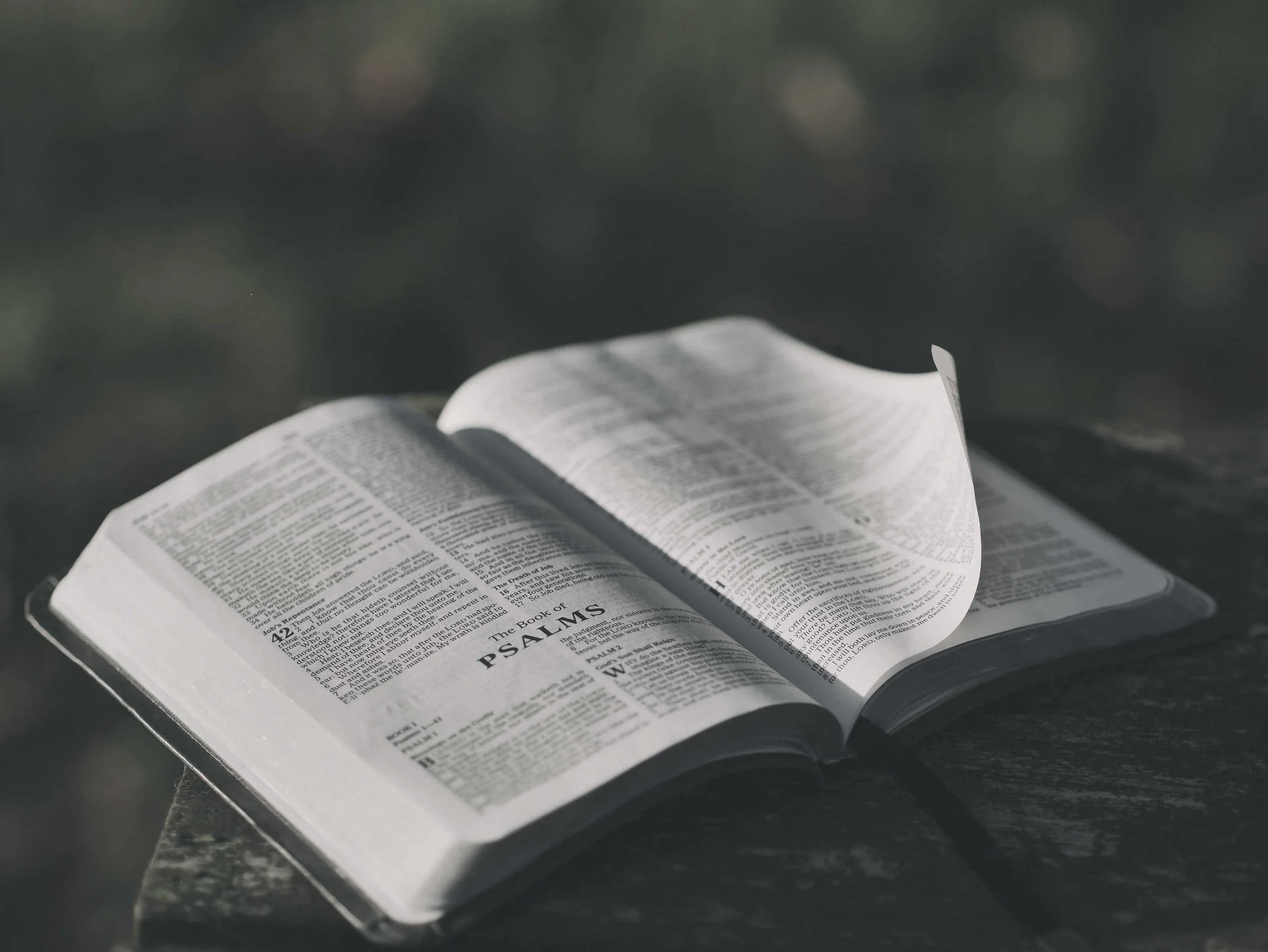 Bible-Service.jpg