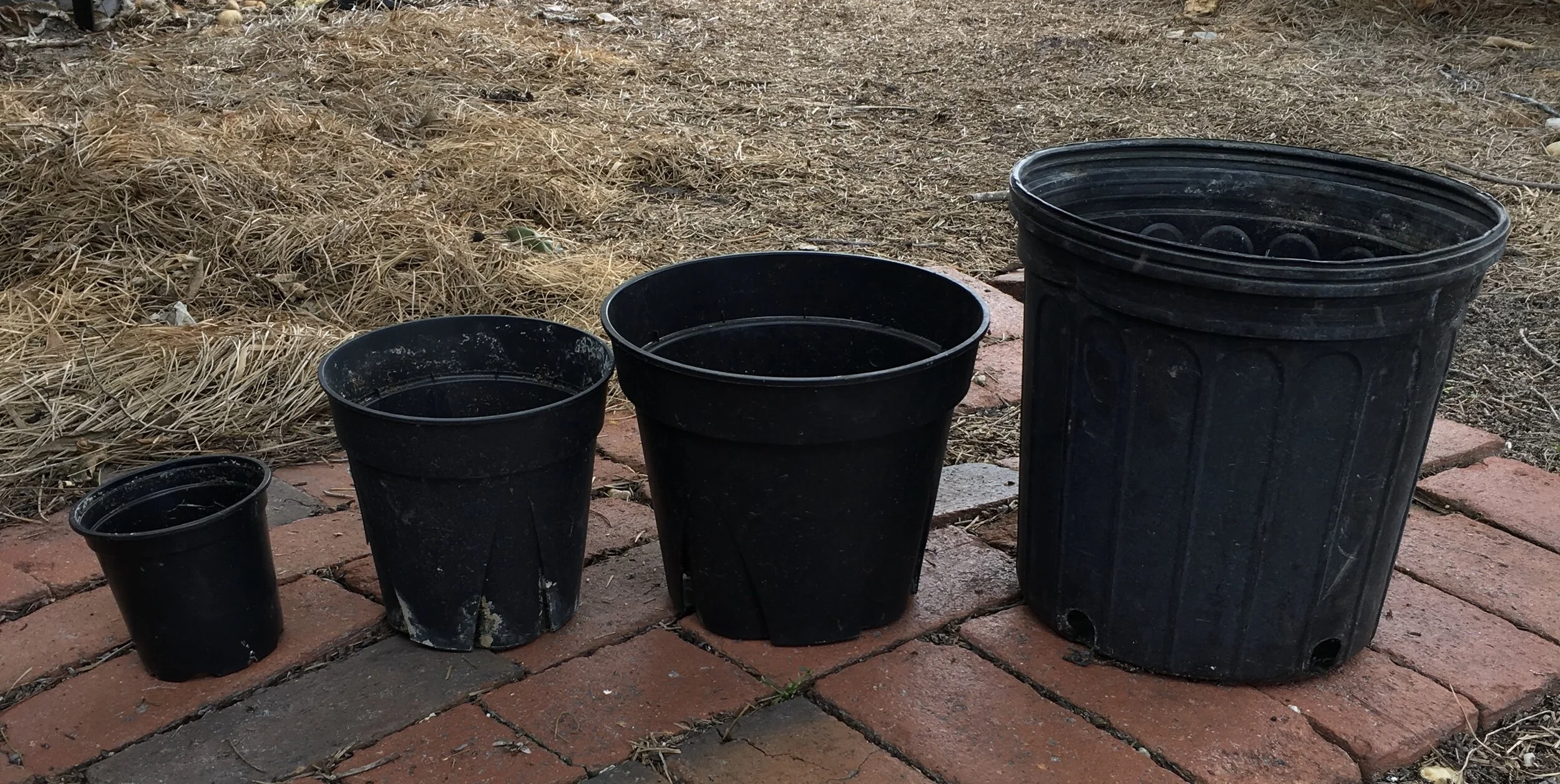 Used Recycled Grower Nursery Pots Apenberry s Gardens
