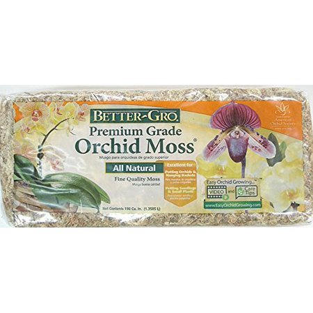 Sphagnum moss  Orchid care & Tips