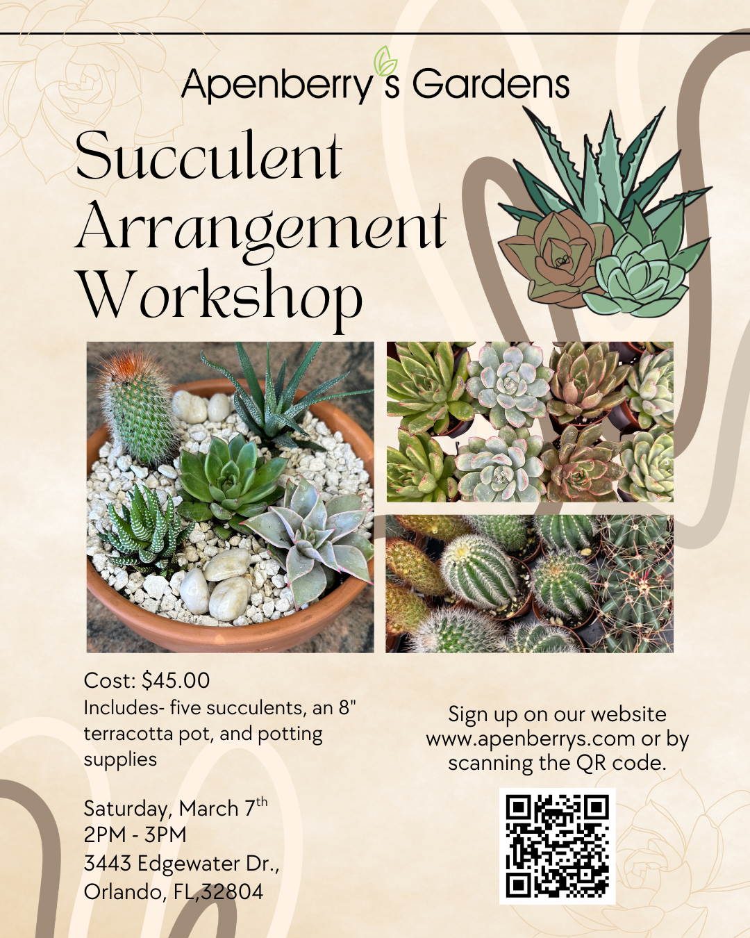 Succulent Arrangement Class