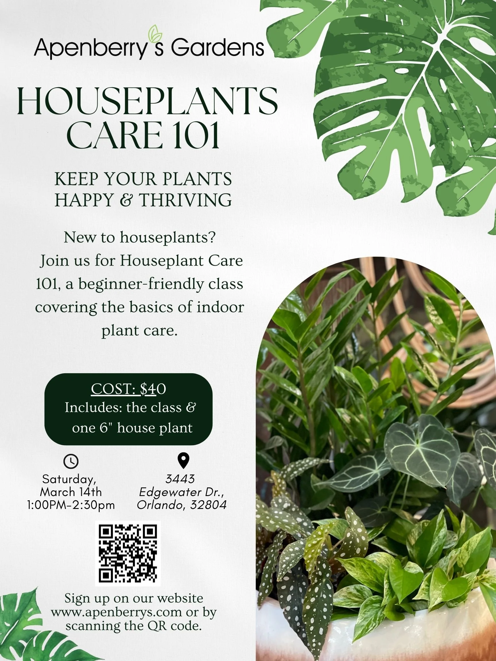 Houseplant Care 101 